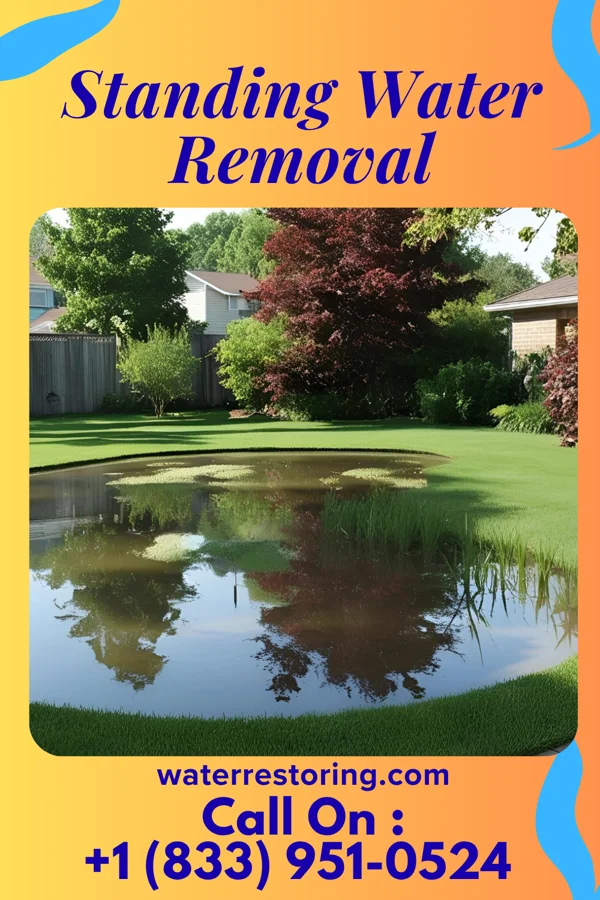 Standing Water Removal in Winter Haven, FL